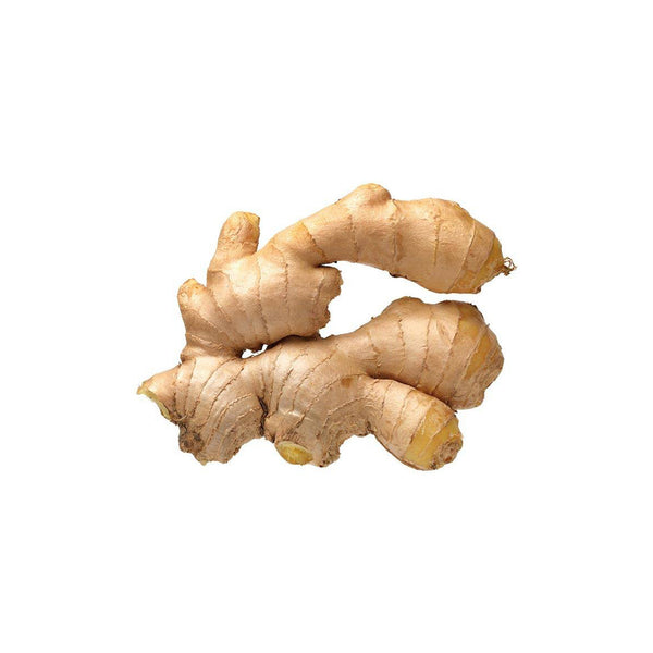 Common ginger