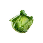 Green cabbage