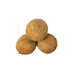 Solid coconut