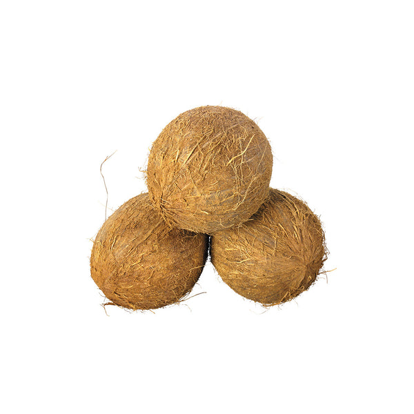 Solid coconut