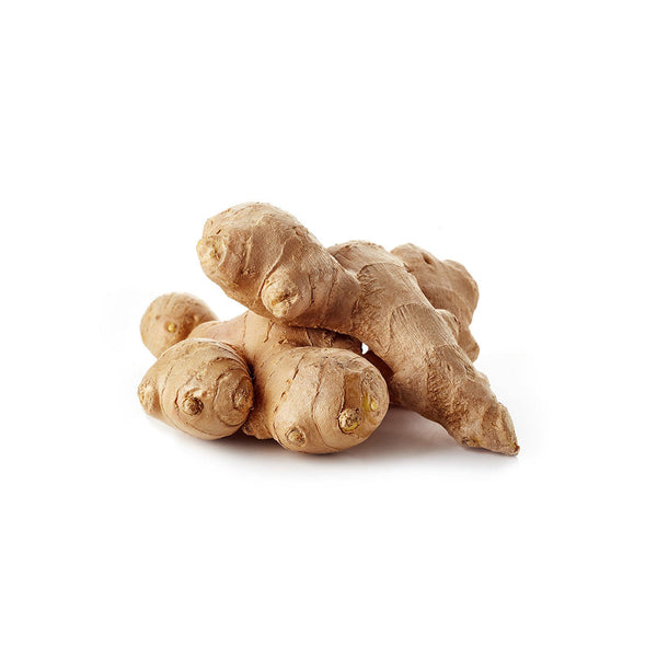 Common ginger