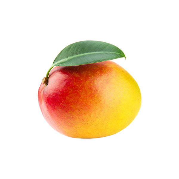 Alphonso mango